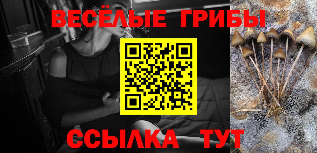 Псилоцибиновые грибы мухоморы  Вход с VPN  Ачхой-Мартан  Галлюциногенные грибы Psilocybine cubensis 