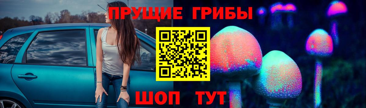 Псилоцибиновые грибы Psilocybine cubensis Ачхой-Мартан