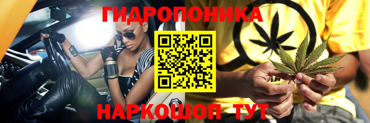 Ачхой-Мартан  Конопля сатива  Марихуана LSD WEED  Канабис MAZAR  Вход с VPN 